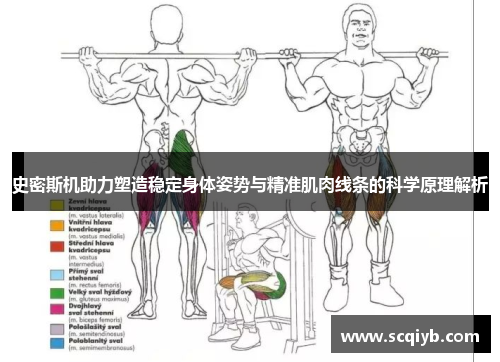 史密斯机助力塑造稳定身体姿势与精准肌肉线条的科学原理解析